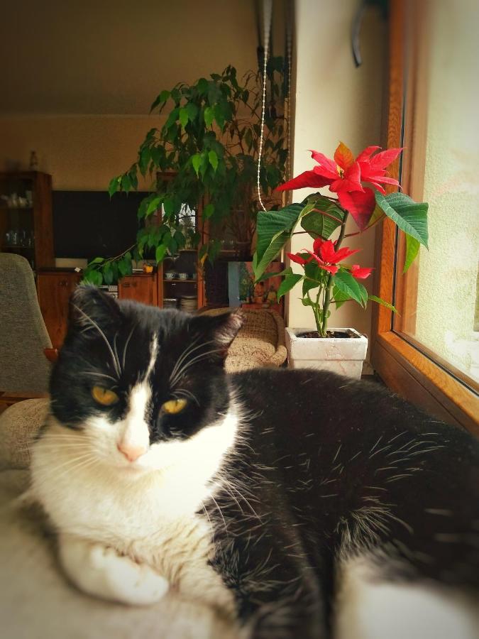 Home&Slow Life グダニスク エクステリア 写真